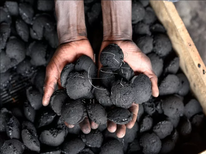 Briquettes de charbon vert