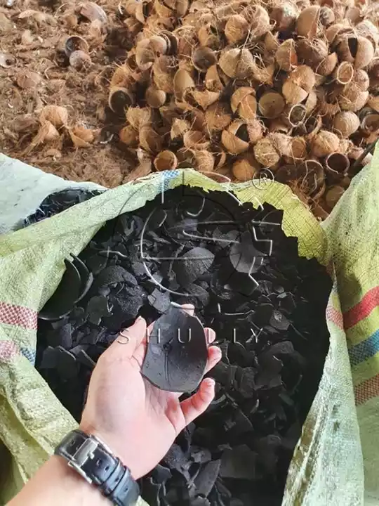 carboniser en charbon de bois