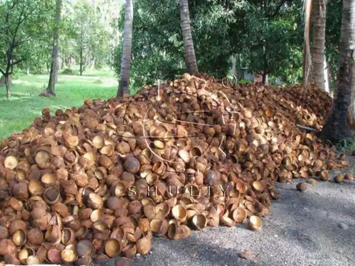 coquilles de noix de coco